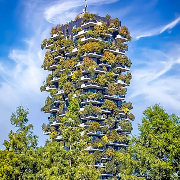 Vertical Gardens Offer Space Optimization and Environmental Benefits in Urban Settings