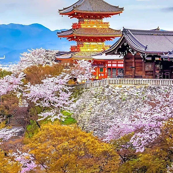 Kyoto, Japan, Offers Rich Cultural and Historical Experiences for Visitors