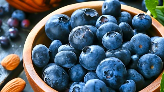 MIND Diet Linked to Slower Brain Aging, Reduced Grey Matter Loss in U.S. Study