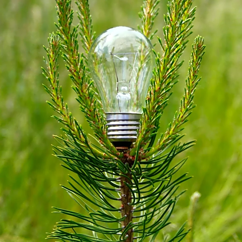 A Healthier Earth Unveils 'ForestFactory' System for Accelerated Tree Growth