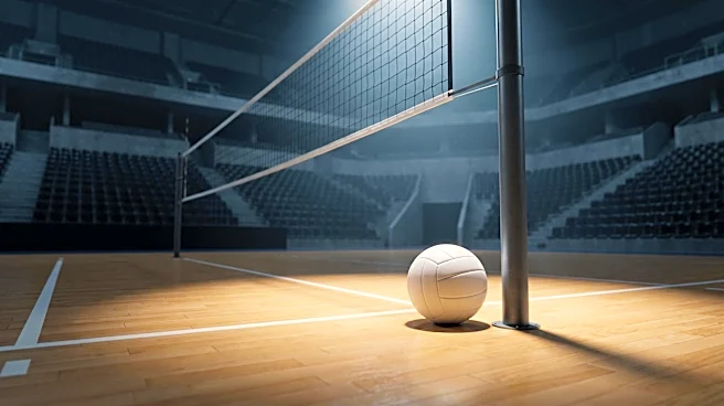 Japanese Volleyball Player Rui Takahashi Publicly Comes Out as Gay