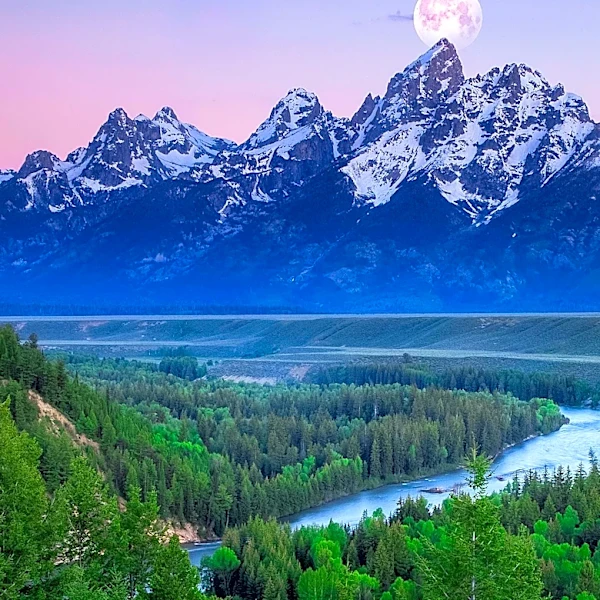 MLB Commissioner Rejects Grand Teton National Park as Game Venue Following Community Opposition