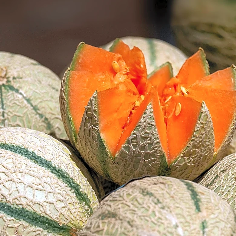 Bonny Melons, a Rare F1 Hybrid Cultivar, Available in Summer Through Early Fall