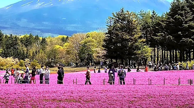 Mt. Fuji Day Trips from Tokyo: Optimizing Views and Travel