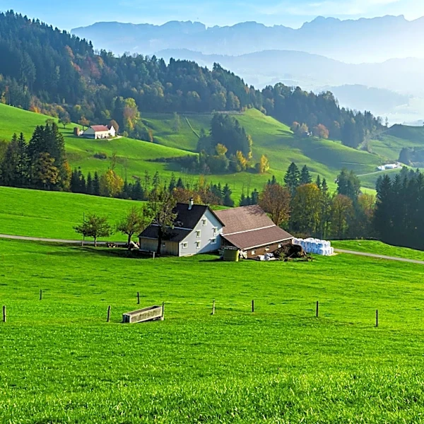 German Allgäu Region Offers Fall Attractions Amidst Fewer Tourists