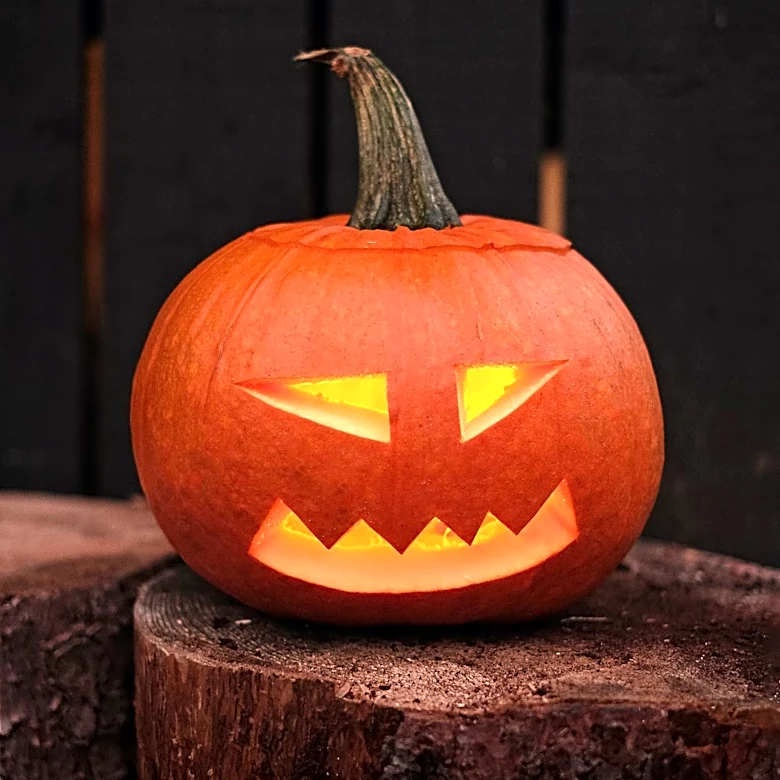 Cincinnati Zoo's Jack O'Lantern Glow Event Returns for Third Annual Halloween Season