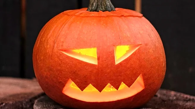 Cincinnati Zoo's Jack O'Lantern Glow Event Returns for Third Annual Halloween Season