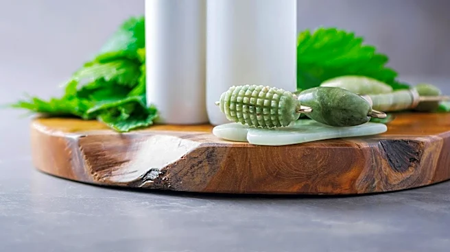 Holistic Health Guides Emphasize Comprehensive Wellness for Modern Living