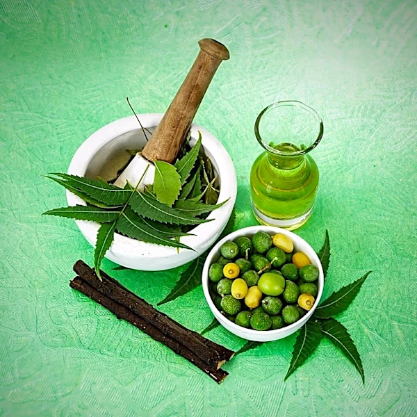Ayurveda: An Ancient Indian Holistic Health System Emphasizes Balance and Prevention
