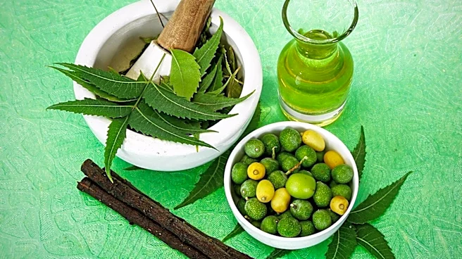 Ayurveda: An Ancient Indian Holistic Health System Emphasizes Balance and Prevention