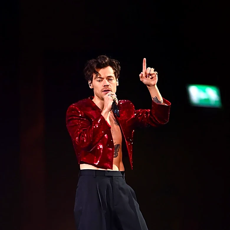 Harry Styles Fans Embrace Cult Concert Dressing, Prioritizing Community Over Individual Attention