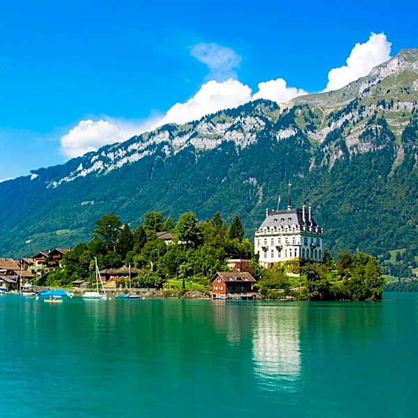 Forest Travel Offers Exclusive 'Quiet Luxury' Experiences in Switzerland