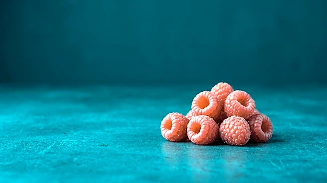 Driscoll's Faces Class-Action Lawsuit in Quebec Over Alleged Chemical Residues in Berries