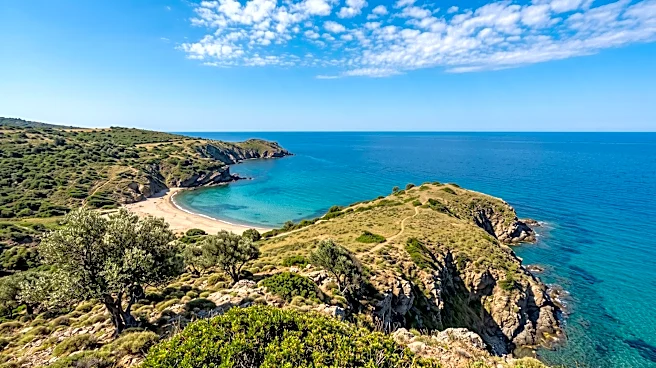 Gökçeada Island in Türkiye Establishes Itself as Premier Pet-Friendly Travel Destination