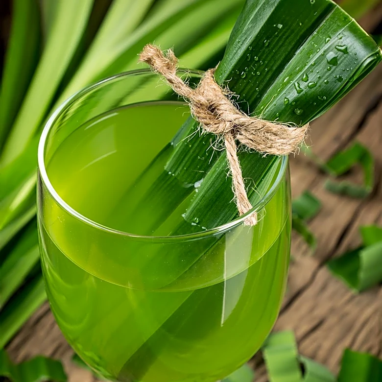Pandan Emerges as a Trending Ingredient in U.S. Beverages