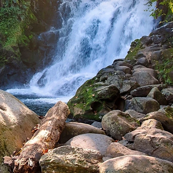 Dominica Emphasizes Preparation for Adventurous Travelers to its 'Untamed Nature Island'