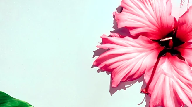 Jelly Lip Oils Emerge as Innovative Hydrating Lip Products