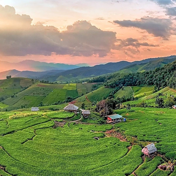Jordan and ASEAN Nations Discuss Agricultural Trade and Food Security Cooperation