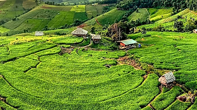Jordan and ASEAN Nations Discuss Agricultural Trade and Food Security Cooperation