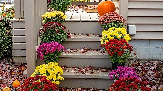 Households Embrace Early Halloween Decorating to Extend Seasonal Enjoyment and Boost Well-being