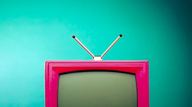 Roku Features 'My Killer Body With K. Michelle' Series Addressing Plastic Surgery Reversals