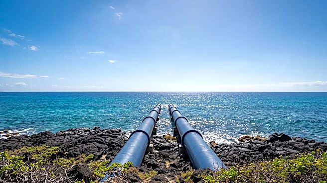 NELHA Appoints New Deputy Director, Interviews Executive Director Finalists to Boost Ocean-Based Economy