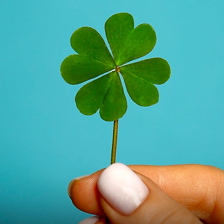 Orrstown Bank Partners with Clover from Fiserv to Enhance Merchant Services for Businesses