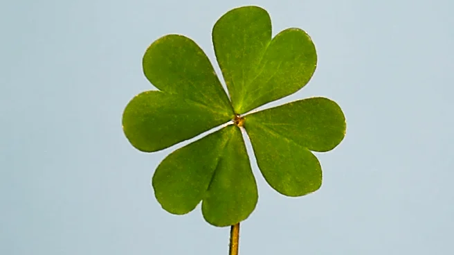 Orrstown Bank Partners with Clover from Fiserv to Enhance Merchant Services for Businesses