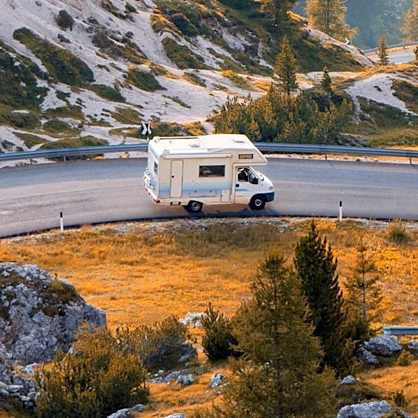 European Road Trips Highlight Micro-Adventures and Wildlife Tourism