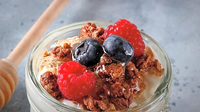 Dietitians Recommend Yogurt and Fiber-Rich Foods for Enhanced U.S. Immune Health