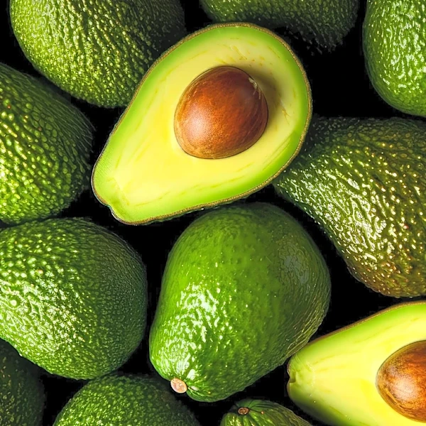 Carpinteria Celebrates 40th Annual Avocado Festival with Community Festivities