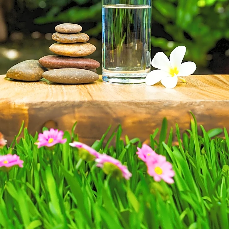 Daily Habits Crucial for Sustained Focus, Balance, and Long-Term Health
