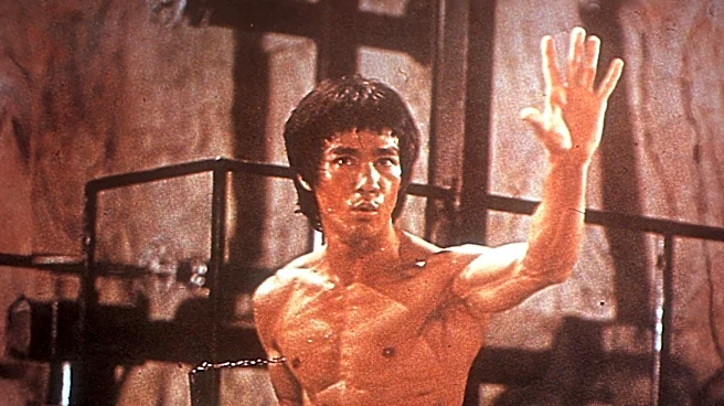 Joe Rogan Podcast Discusses Bruce Lee's Death, AI, and Life Philosophy with LL Cool J