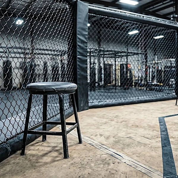 Paddy Pimblett Proposes 'The Ultimate Fighter' Season with Ilia Topuria to Boost Ratings