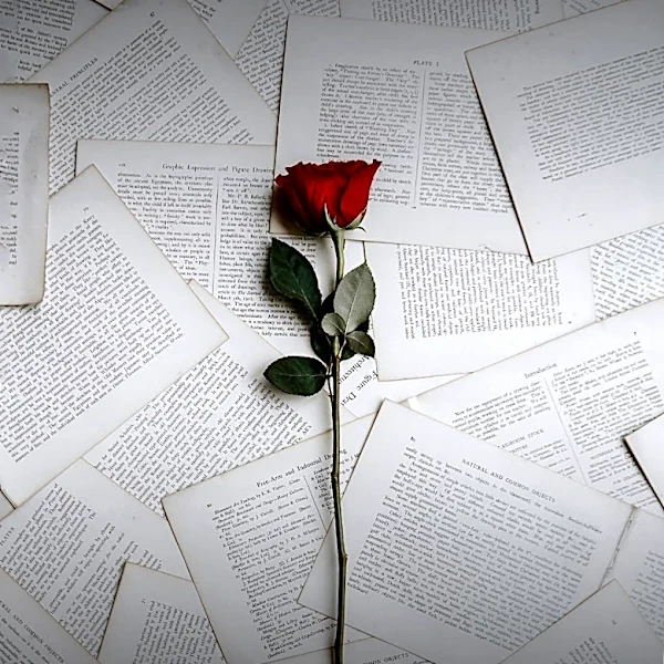 Tupac Shakur's 'The Rose That Grew From Concrete' Explores Themes of Strength and Defiance