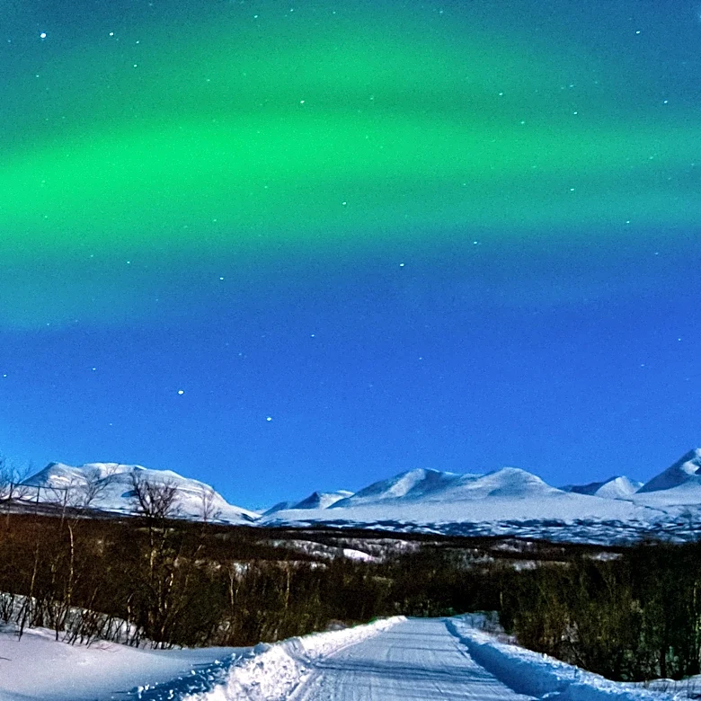 Tromsø Offers Prime Northern Lights Viewing and Arctic Experiences During Polar Night
