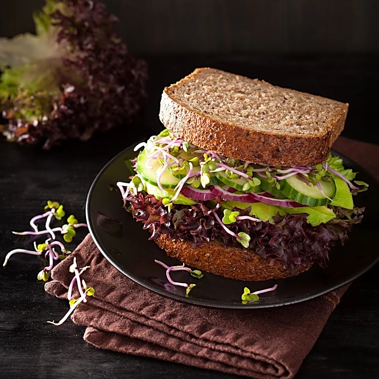 Maple Leaf Foods Launches 'Canwich' Campaign to Support Local Canadian Businesses Amidst Trade Disputes