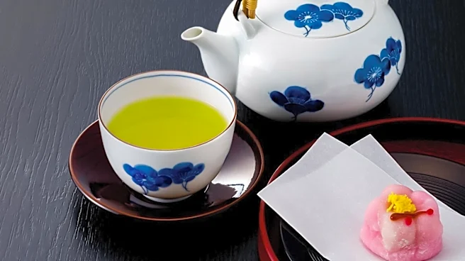 NYC Bar Association Hosts Japanese Tea Gathering to Foster Legal Community Connections
