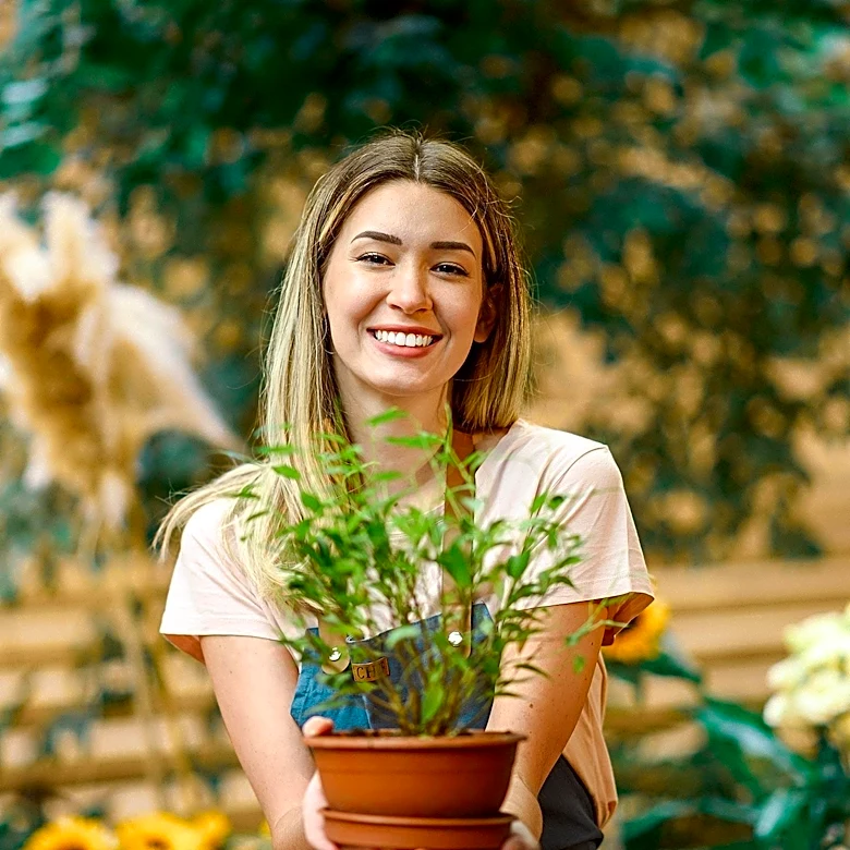 Thea Plant Co. in Providence Gains Viral Attention with 'Name Game' Promotion