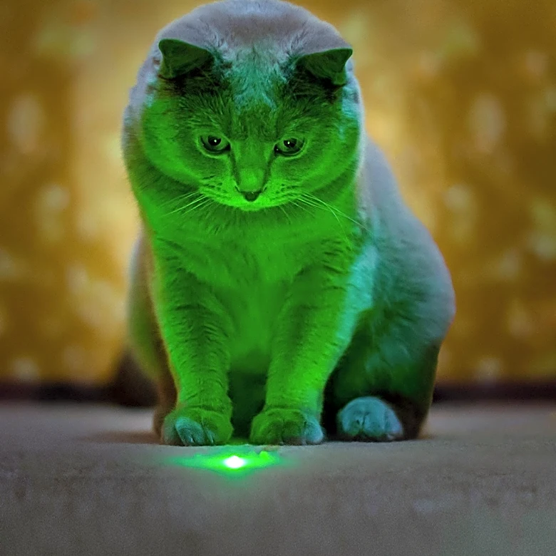 Phovia Light Therapy Offers Drug-Free Healing for Pets with Skin Conditions