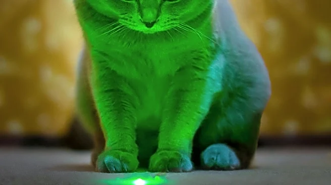 Phovia Light Therapy Offers Drug-Free Healing for Pets with Skin Conditions