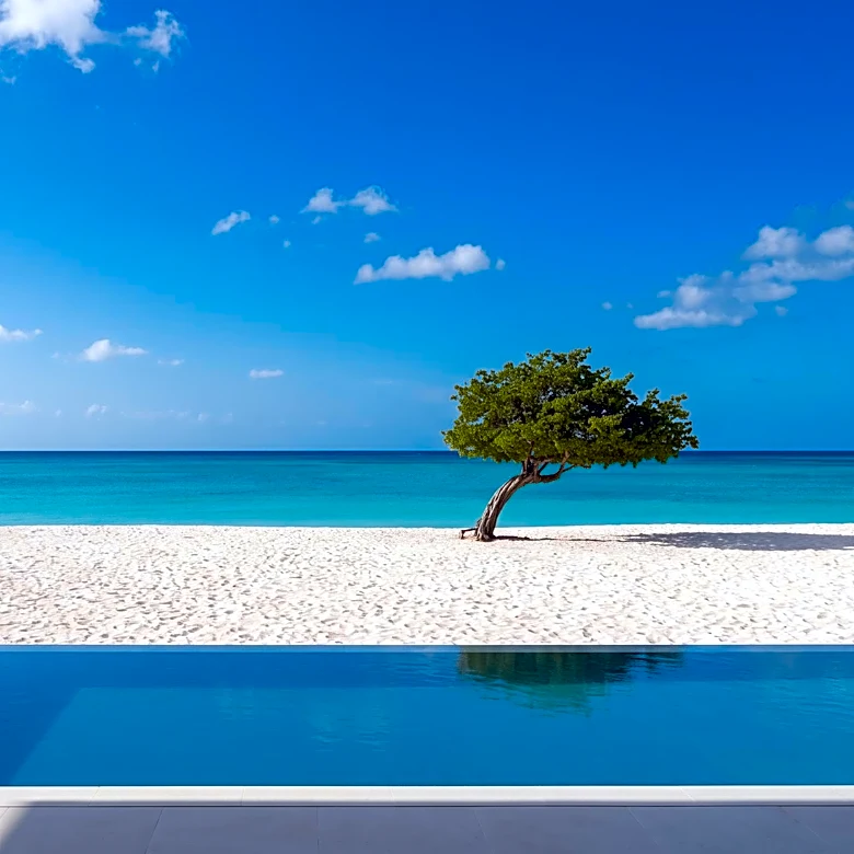 Manchebo Beach Resort Spa Details Premium All-Inclusive Plan in Aruba