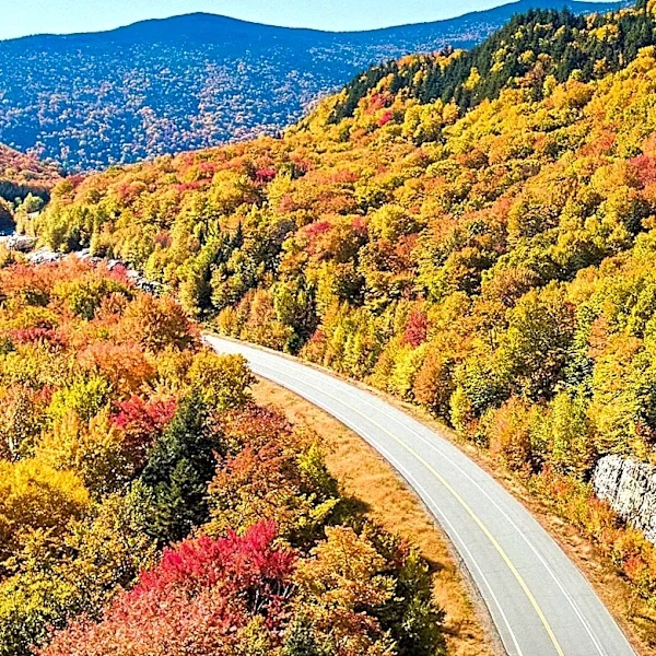 The Trustees Offer Diverse Autumn Day Trips Across Massachusetts for Various Interests