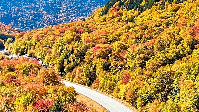 The Trustees Offer Diverse Autumn Day Trips Across Massachusetts for Various Interests