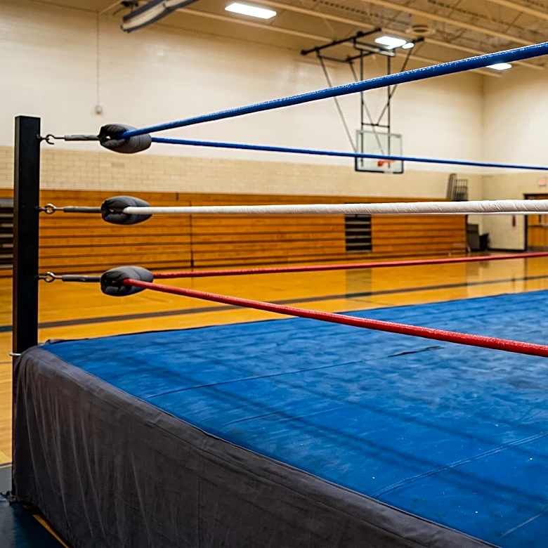 Darren Aronofsky's 'The Wrestler' Depicts Decline of Fictional Wrestler Randy 'The Ram' Robinson