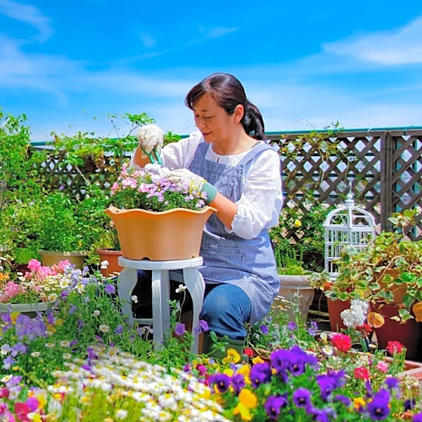 Arizona Woman Transforms Home into Free Community Flower Garden After Retirement