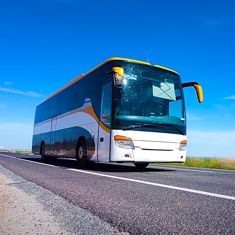 Diamond Tours Offers Florida Bus Tour Packages to St. Augustine, Amelia Island, and Jacksonville