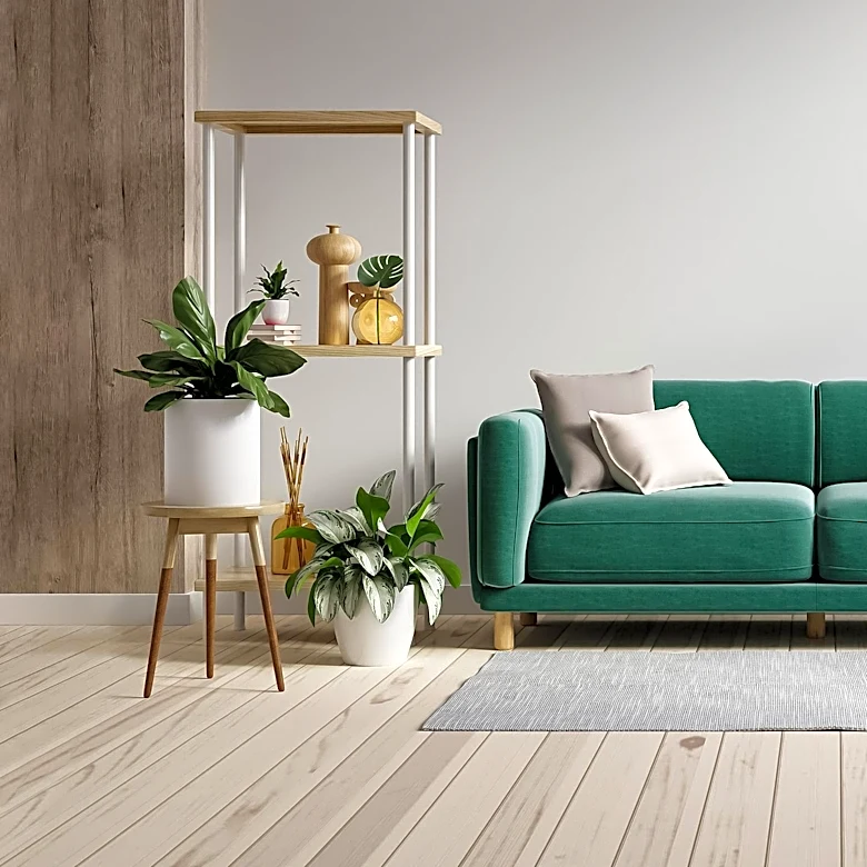 Interior Designers Advocate for Reconsideration of 'Dated' Home Features