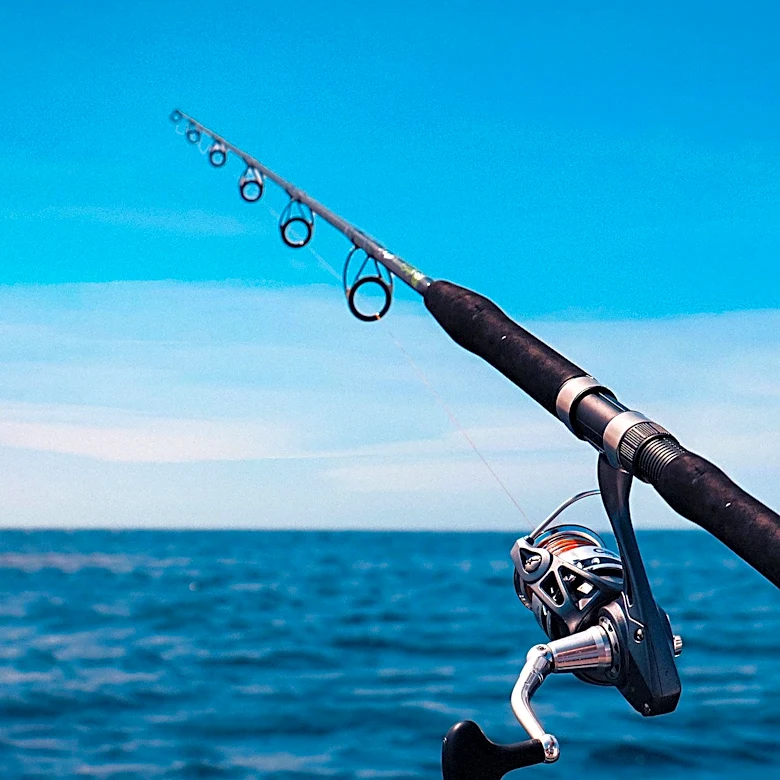 North Myrtle Beach Charters Offer Diverse Fishing Experiences, Including Deep Sea and Nearshore Options