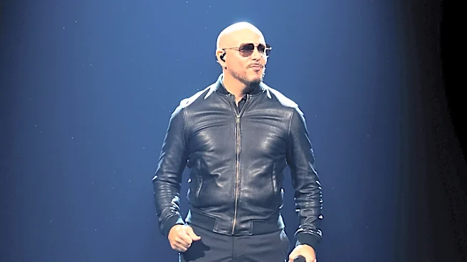 Pitbull Discusses Mr. 305 Inc. and Global Brand Strategy in Billboard Interview